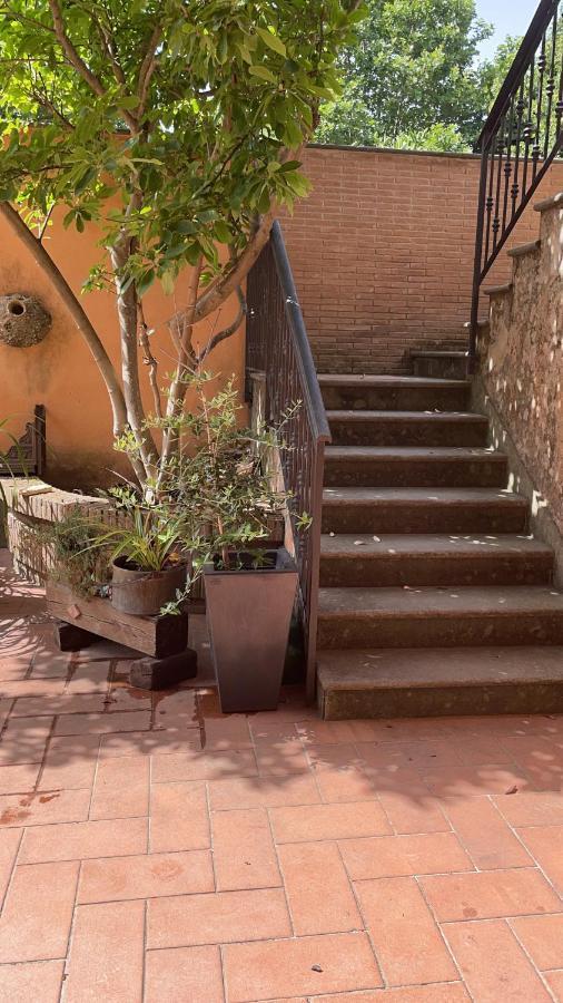 Villa Mariposa Nettuno Esterno foto